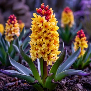 Гиацинт Миднайт Мистери купить по цене от 2099р. в интернет-магазине «Посадика» с доставкой почтой в в Снегирие и по всей России – [изображение №1].